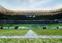 ‘Palmeiras na gestão do tour do Allianz Parque reforça boa relação com WTorre’ – Nosso Palestra