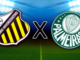 Novorizontino x Palmeiras: onde assistir jogo pelo Paulistão – Nosso Palestra
