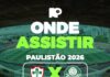 Portuguesa x Palmeiras: onde assistir ao jogo pelo Paulistão – Nosso Palestra