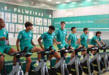 Palmeiras confirma lesão de Jefté em reapresentação na Academia de Futebol – Nosso Palestra