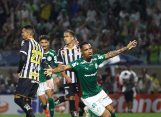 Base se renova e decide: Palmeiras vê nova geração assumir protagonismo – Nosso Palestra