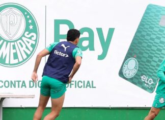 Palmeiras se reapresenta na Academia de Futebol após goleada com novidade no elenco – Nosso Palestra