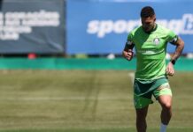 Em momento de saídas, Palmeiras pode ter ‘reforços caseiros’ com Paulinho e Lucas Evangelista – Nosso Palestra