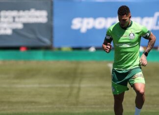 Em momento de saídas, Palmeiras pode ter ‘reforços caseiros’ com Paulinho e Lucas Evangelista – Nosso Palestra