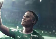 Palmeiras anuncia contratação de Jhon Arias; veja detalhes – Nosso Palestra