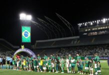 Palmeiras defende invencibilidade como mandante contra o Guarani na última rodada do Paulistão – Nosso Palestra