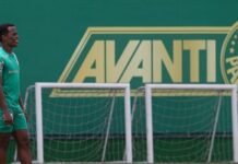 Arias treina pela primeira vez com elenco do Palmeiras e acelera preparação para estreia