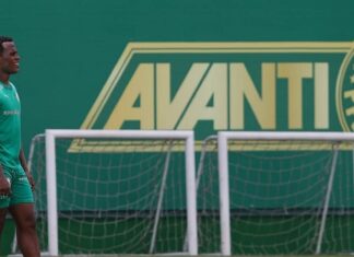 Arias treina pela primeira vez com elenco do Palmeiras e acelera preparação para estreia