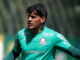 Escalação do Palmeiras: Abel Ferreira deve retomar ‘time ideal’ para confronto nas quartas – Nosso Palestra