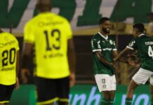 Palmeiras inicia mata-mata do Paulista com elenco reformulado; veja remanescentes de 2025 – Nosso Palestra