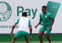 Jhon Arias chega no Palmeiras e busca vaga em ‘time ideal’ de Abel Ferreira – Nosso Palestra