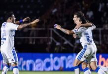 Últimas do Cruzeiro: vitórias no Brasileirão Sub-20, Campeonato Mineiro e Superliga Masculina