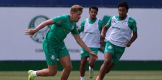 Palmeiras se reapresenta após classificação à semifinal do Campeonato Paulista – Nosso Palestra