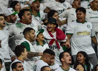 Palmeiras x Fluminense: veja parcial de ingressos vendidos para jogo do Brasileirão – Nosso Palestra