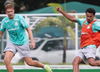 Palmeiras se reapresenta após vitória no Brasileirão – Nosso Palestra
