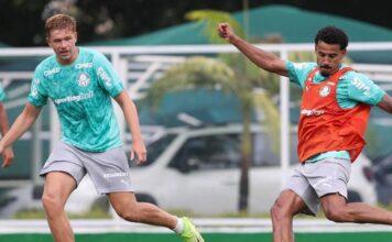 Palmeiras se reapresenta após vitória no Brasileirão – Nosso Palestra