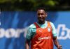 Escalação do Palmeiras: Abel tem dúvida para confronto contra São Paulo – Nosso Palestra