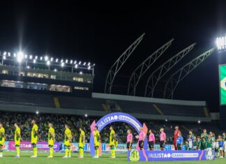 Palmeiras tem bons números como mandante e tenta usar fator casa como trunfo no Choque-Rei – Nosso Palestra