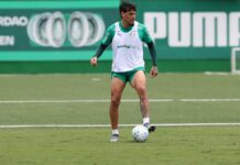Palmeiras se reapresenta após classificação e Gustavo Gómez destaca: ‘Estamos melhorando jogo a jogo’ – Nosso Palestra