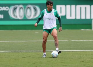 Palmeiras se reapresenta após classificação e Gustavo Gómez destaca: ‘Estamos melhorando jogo a jogo’ – Nosso Palestra