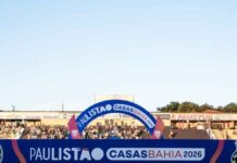 Palmeiras x Novorizontino: Final do Paulistão volta a ficar fora da capital após quase uma década – Nosso Palestra