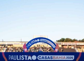 Palmeiras x Novorizontino: Final do Paulistão volta a ficar fora da capital após quase uma década – Nosso Palestra