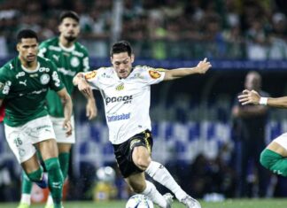 Jogador do Novorizontino diz que time está ‘vivo’ contra Palmeiras e revela estratégia para volta: ‘Não à toa fizemos quatro neles’