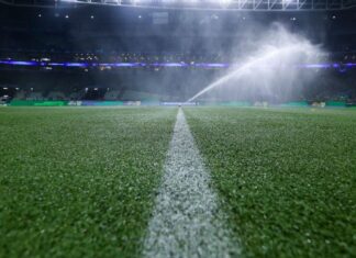 O detalhe de novo gramado do Allianz Parque que deve dar fim a ‘incômodo’ na torcida do Palmeiras