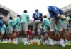 Gramado do Allianz Parque recebe certificação máxima da FIFA e estreia no Brasileirão contra o Mirassol – Nosso Palestra