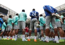 Gramado do Allianz Parque recebe certificação máxima da FIFA e estreia no Brasileirão contra o Mirassol – Nosso Palestra