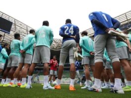 Gramado do Allianz Parque recebe certificação máxima da FIFA e estreia no Brasileirão contra o Mirassol – Nosso Palestra