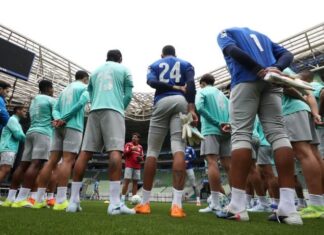 Gramado do Allianz Parque recebe certificação máxima da FIFA e estreia no Brasileirão contra o Mirassol – Nosso Palestra