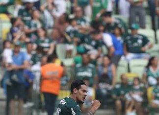 Palmeiras reencontra Mirassol, mesmo adversário da estreia do sintético no Allianz Parque – Nosso Palestra