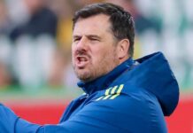 Michael McArdle: Northern Ireland ‘should dream’ of World Cup