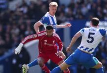 Cody Gakpo makes worrying admission after ‘difficult’ Liverpool loss at Brighton