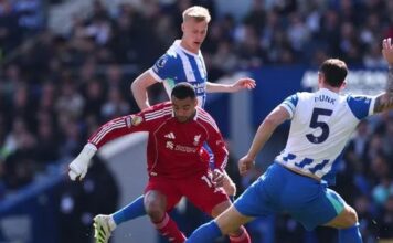Cody Gakpo makes worrying admission after ‘difficult’ Liverpool loss at Brighton