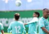 Palmeiras treina durante Data Fifa e mantém foco no Brasileirão – Nosso Palestra