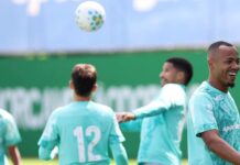 Palmeiras treina durante Data Fifa e mantém foco no Brasileirão – Nosso Palestra