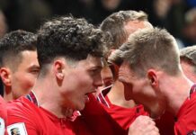 Tchéquia encerra conto de fadas da Irlanda e fica perto de retornar à Copa do Mundo