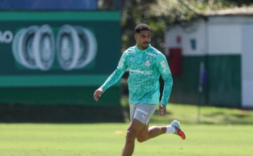 Palmeiras intensifica preparação e Murilo celebra boa fase no clube: ‘Melhor ano da minha vida’ – Nosso Palestra