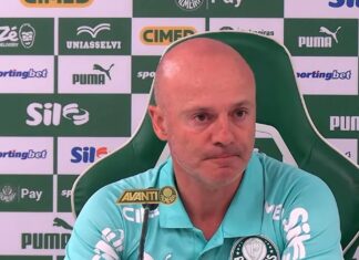 Auxiliar do Palmeiras atualiza condições físicas de Paulinho e Vitor Roque; veja possíveis retornos – Nosso Palestra