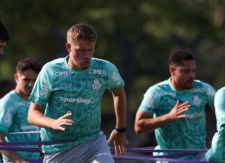 Paulinho avança na recuperação e participa de treino completo no Palmeiras – Nosso Palestra