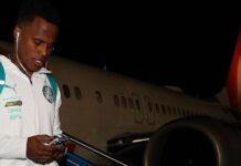 Palmeiras viajou mais de 6 mil km em três dias; distância é maior que trajeto Portugal-Cazaquistão na Europa