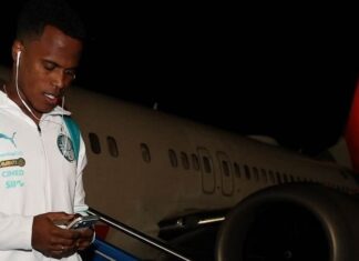 Palmeiras viajou mais de 6 mil km em três dias; distância é maior que trajeto Portugal-Cazaquistão na Europa