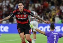 Flamengo vence Fluminense com dois golaços de Pedro e assume vice-liderança do Brasileirão