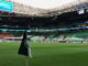 Palmeiras terá sequência em casa e se prepara para ‘despedida’ do Allianz Parque – Nosso Palestra