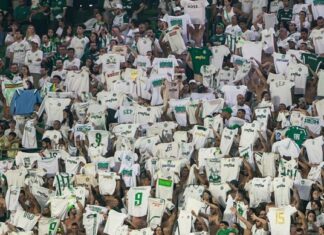 Palmeiras x Sporting Cristal: veja parcial de ingressos vendidos para jogo da Libertadores – Nosso Palestra