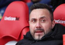 Destaque da Premier League, argentino pode ser 1º reforço do Tottenham em caso de permanencia