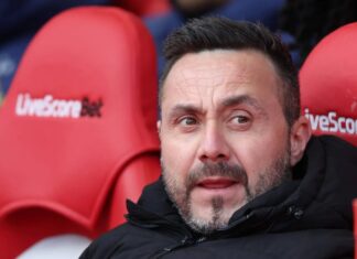 Destaque da Premier League, argentino pode ser 1º reforço do Tottenham em caso de permanencia