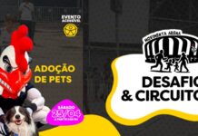 Movimenta Arena: Instituto Galo abre fim de semana na Casa do Galo – Clube Atlético Mineiro